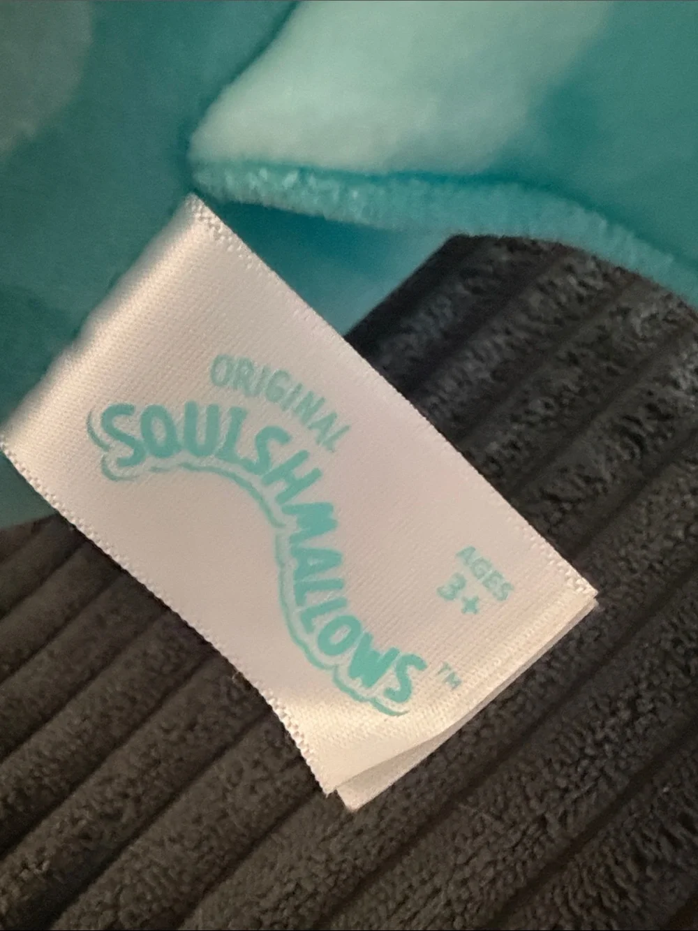 Squishmallows adorable teal
